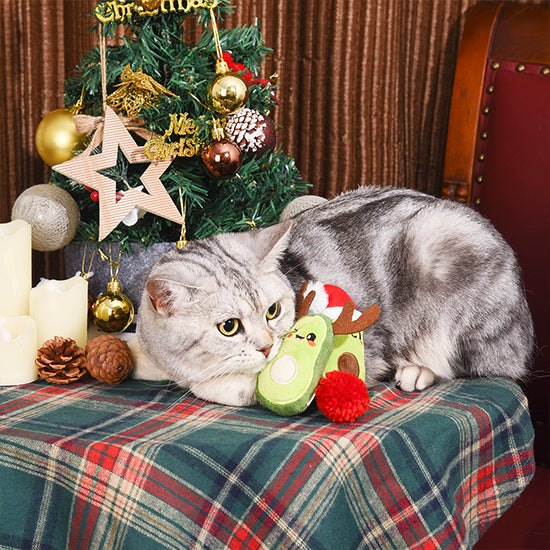 Holiday Feline – Avocado Christmas