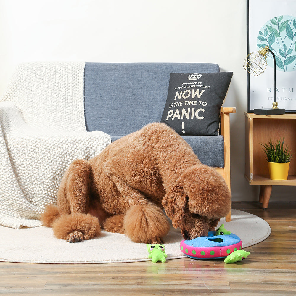 Top 5 Toys for Your Pets