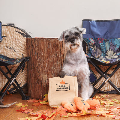 Autumn Bliss for You and Your Pooch: Maple Syrup and Squeaky Surprises Await!