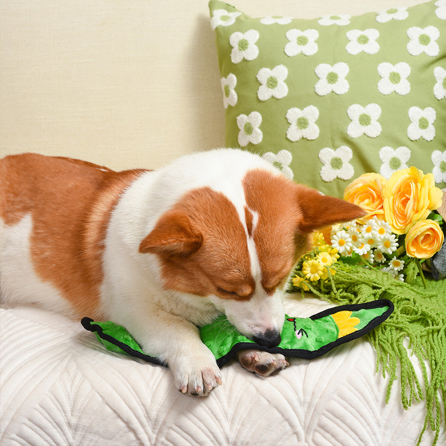 HugSmart — Feisty Veggie – Bok Choy Dog Toy