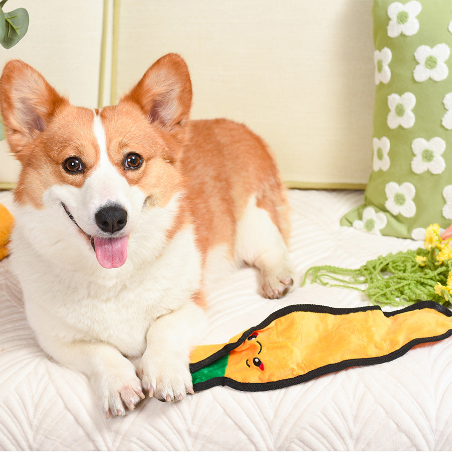 Squeakin’ Vegetables – Carrot