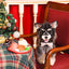 Happy Woofmas – Christmas Dinner
