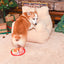 Happy Woofmas – Christmas Dinner