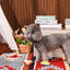 HS10405-3