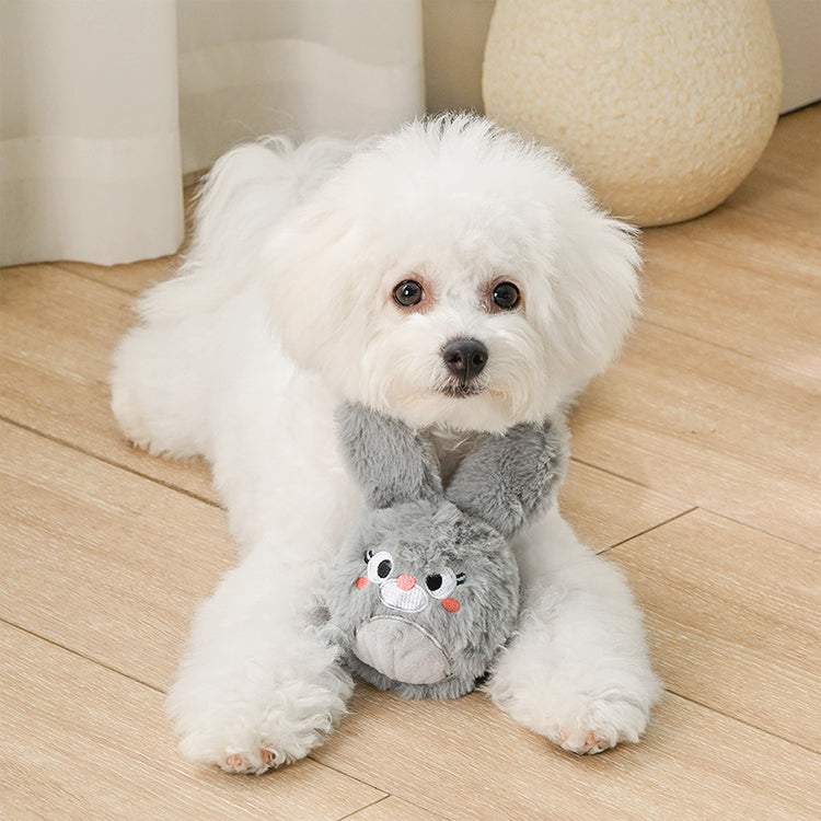 Farm Friendz – Bunny – Hugsmart Pet