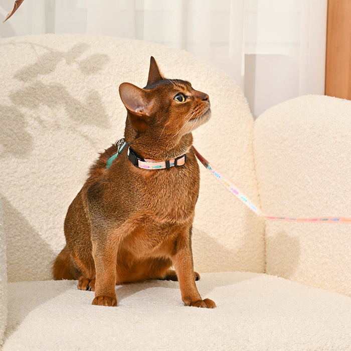 Cat Harness & Leash Set — Fish